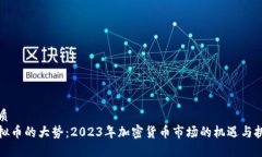 优质虚拟币的大势：2023年加密货币市场的机遇与
