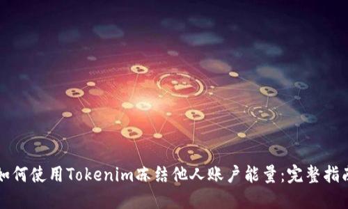 如何使用Tokenim冻结他人账户能量：完整指南