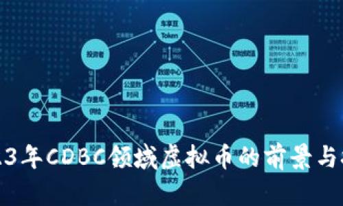 2023年CDBC领域虚拟币的前景与挑战