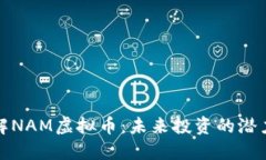 深入了解NAM虚拟币：未来投资的潜力与风险