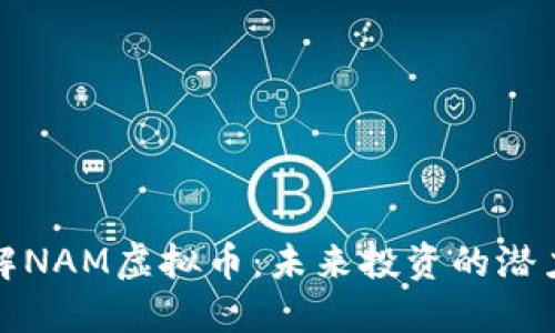深入了解NAM虚拟币：未来投资的潜力与风险