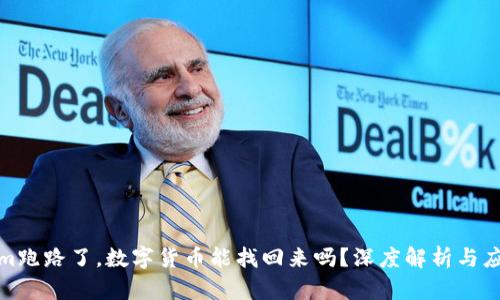 Tokenim跑路了，数字货币能找回来吗？深度解析与应对策略