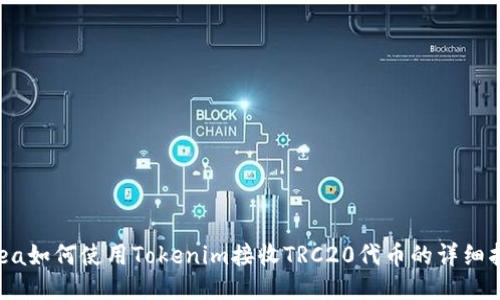 area如何使用Tokenim接收TRC20代币的详细指南