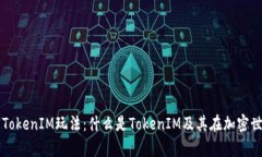 深入解析TokenIM玩法：什么是TokenIM及其在加密世界