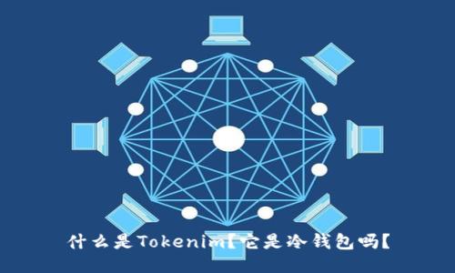 什么是Tokenim？它是冷钱包吗？