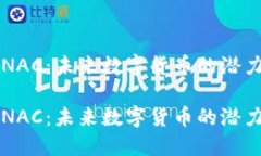 虚拟币NAC：未来数字货币的潜力与挑战虚拟币N