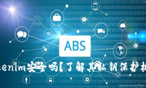 Tokenim安全吗？了解其私钥保护机制