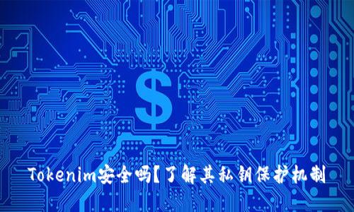Tokenim安全吗？了解其私钥保护机制