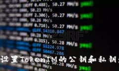 :如何安全设置TokenIM的公钥和私钥：详尽指南