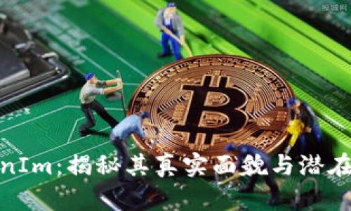 TokenIm：揭秘其真实面貌与潜在风险