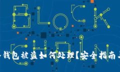 tokenim冷钱包被盗如何处理？安全指南与防范措施