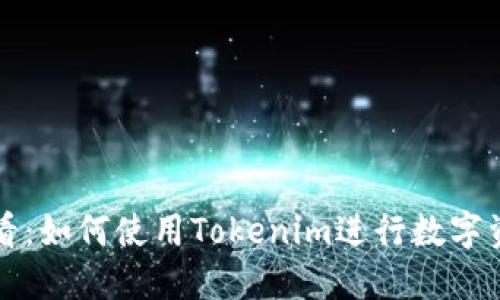 新手必看：如何使用Tokenim进行数字资产管理