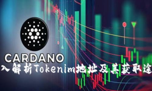 深入解析Tokenim地址及其获取途径