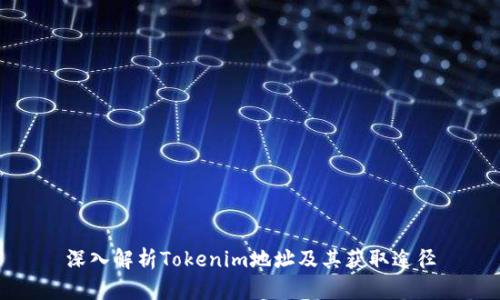 深入解析Tokenim地址及其获取途径