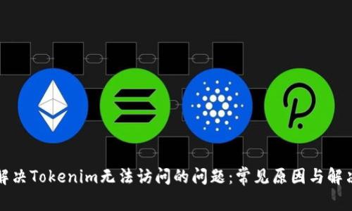 如何解决Tokenim无法访问的问题：常见原因与解决方案