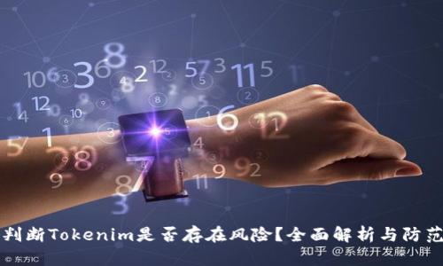 如何判断Tokenim是否存在风险？全面解析与防范指南