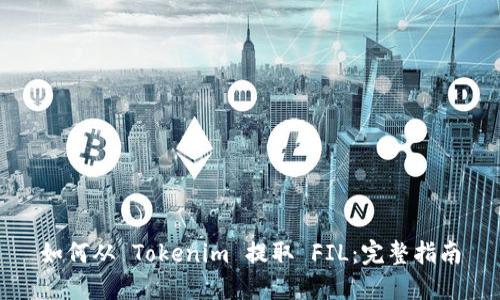 如何从 Tokenim 提取 FIL：完整指南