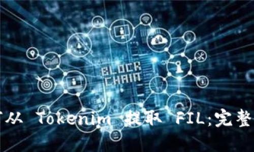 如何从 Tokenim 提取 FIL：完整指南