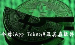 什么是应用程序令牌（App Token）及其在软件开发