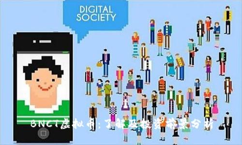 BNCT虚拟币：了解及投资前景分析