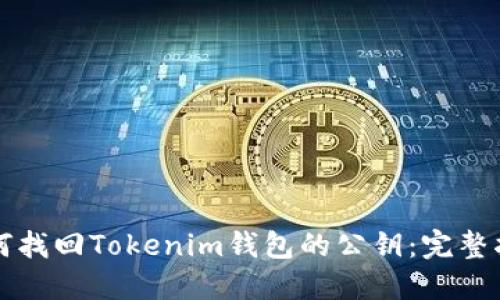 如何找回Tokenim钱包的公钥：完整指南