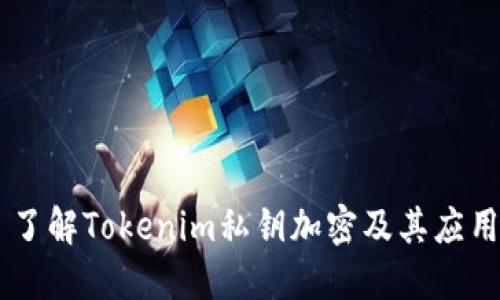 了解Tokenim私钥加密及其应用