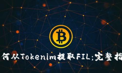 如何从Tokenim提取FIL：完整指南