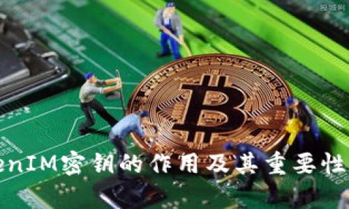 TokenIM密钥的作用及其重要性解析